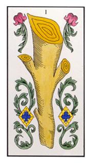 Ace of Wands