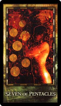 Seven of Coins
