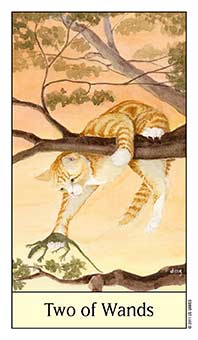 Two of Wands