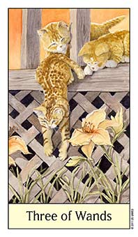 Three of Wands