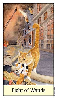 Eight of Wands