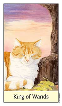 King of Wands