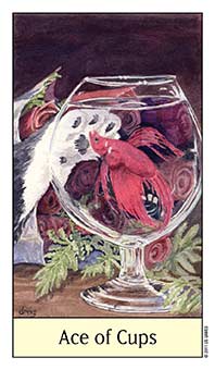 Ace of Cups
