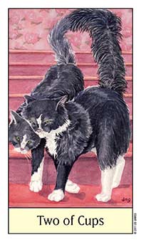 Two of Cups
