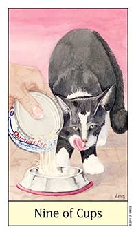 Nine of Cups