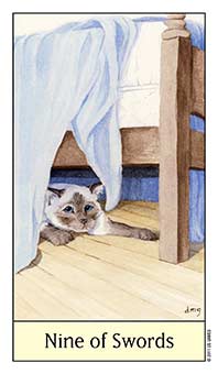 Nine of Swords