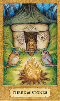 Three of Coins