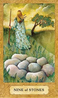 Nine of Coins