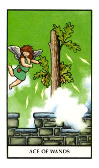 Ace of Wands