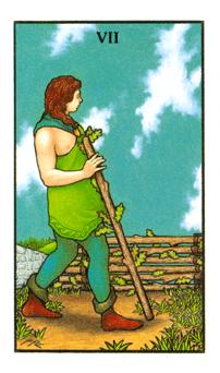 Seven of Wands