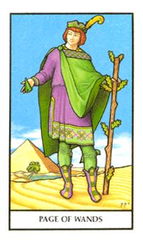 Page of Wands