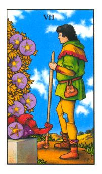 Seven of Pentacles