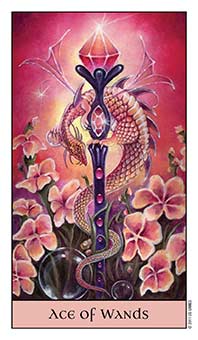 Ace of Wands
