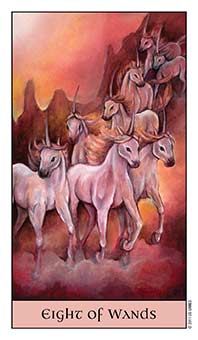 Eight of Wands