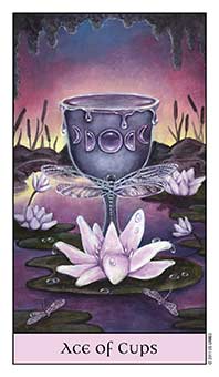Ace of Cups