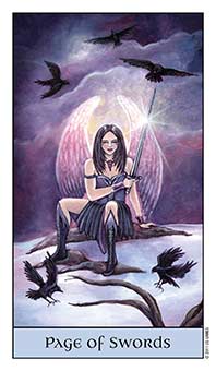 Page of Swords