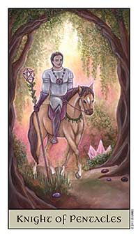 Knight of Coins
