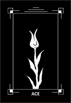 Ace of Wands