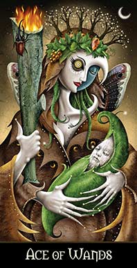 Ace of Wands