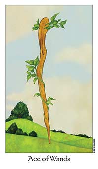 Ace of Wands