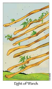 Eight of Wands