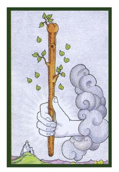 Ace of Wands