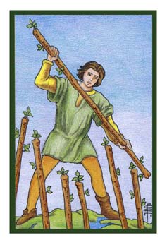 Seven of Wands