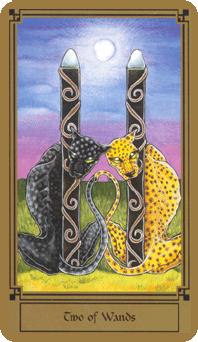Two of Wands
