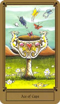 Ace of Cups
