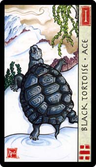 Ace of Wands