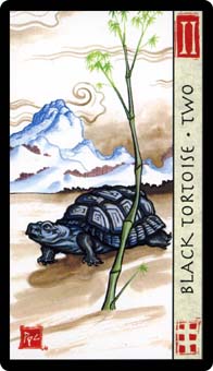 Two of Wands