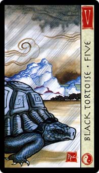Five of Wands