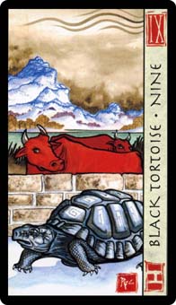 Nine of Wands