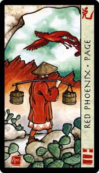 Page of Cups