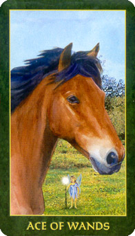 Ace of Wands