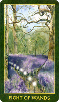 Eight of Wands