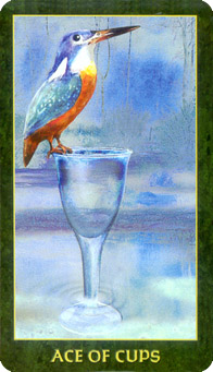 Ace of Cups