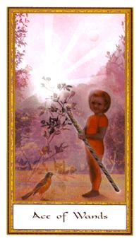 Ace of Wands