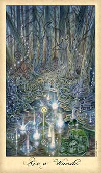 Ace of Wands