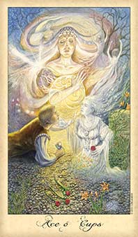 Ace of Cups