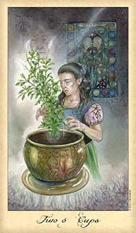 Two of Cups