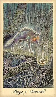 Page of Swords