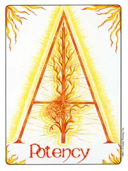 Ace of Wands