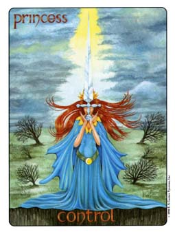 Page of Swords