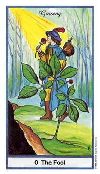 The Fool