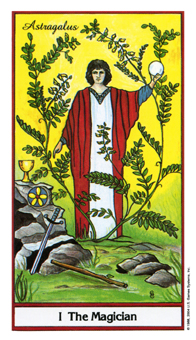 The Magician