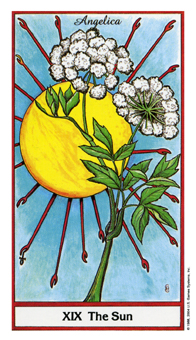 The Sun