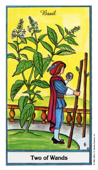 Two of Wands