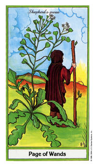Page of Wands