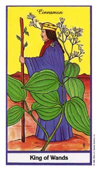 King of Wands